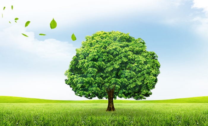 綠色環(huán)保：室內(nèi)裝修污染問題與對策