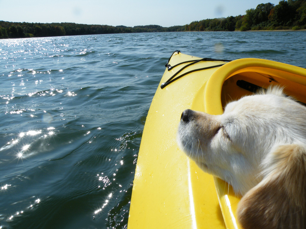 微信移動辦公：不當(dāng)傳話筒，當(dāng)解決問題小能手